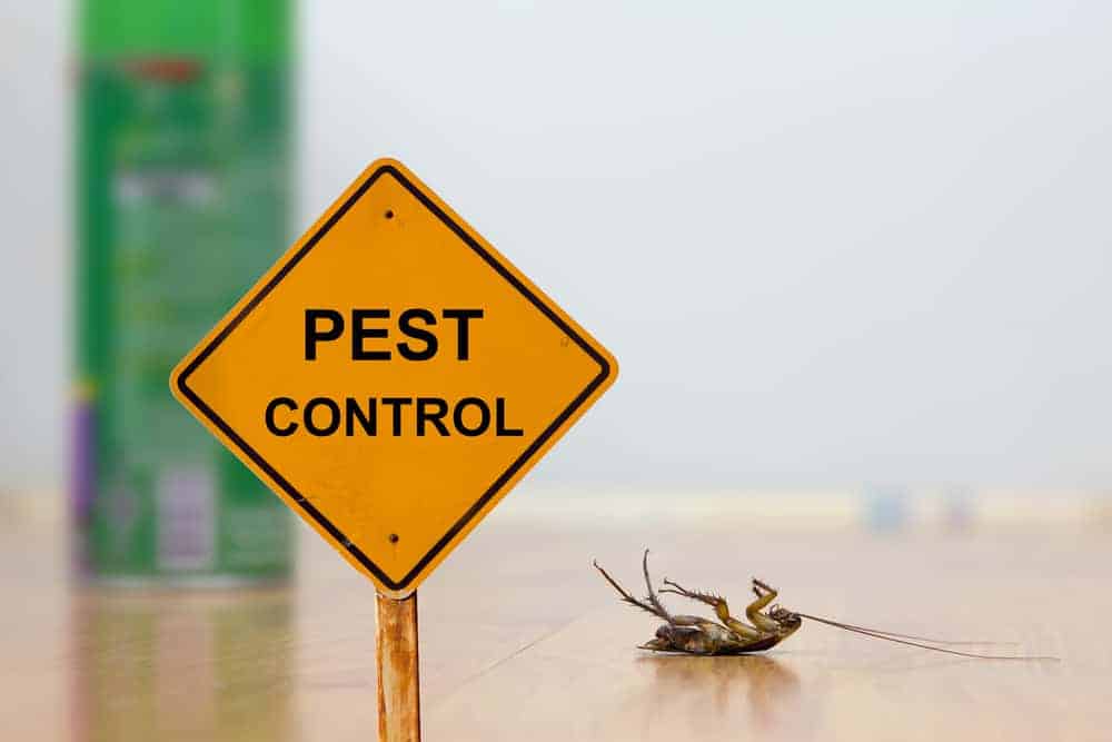 Pest control sign board
