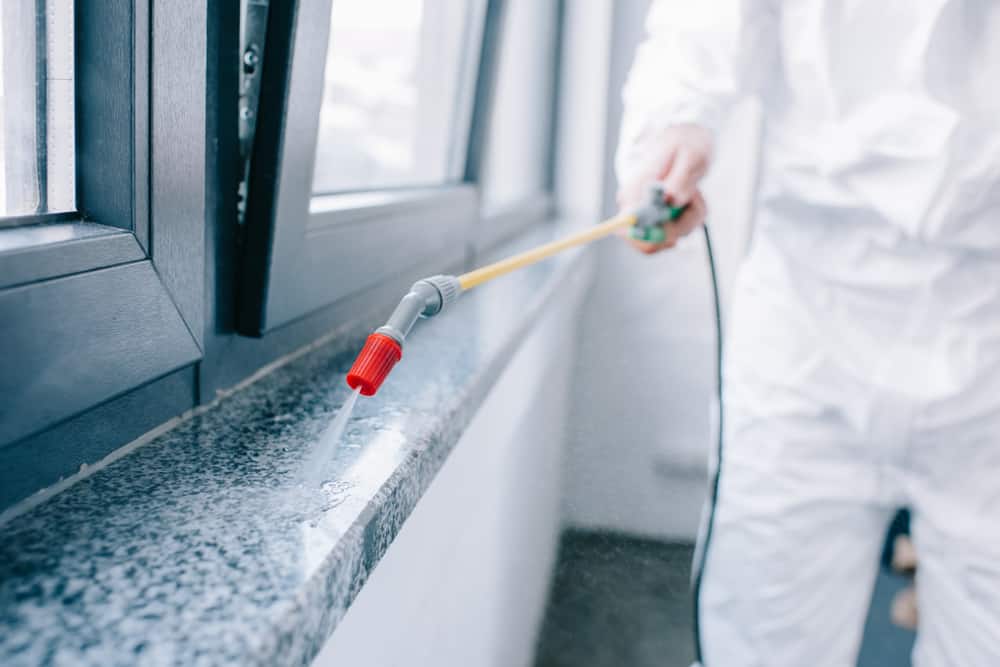 Pest Control Worker Spraying Pesticides On Windowsill