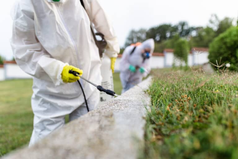 Exterminators Outdoors In Work Wear Spraying Pesticide With Sprayer.