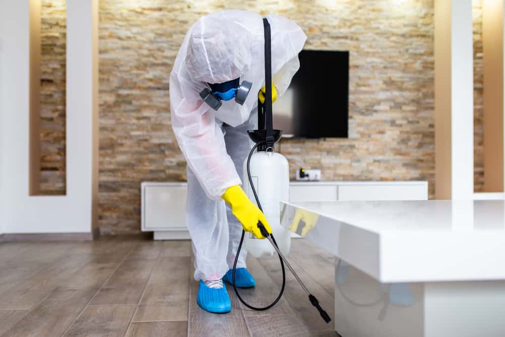 Exterminator In Work Wear Spraying Pesticide With Sprayer.