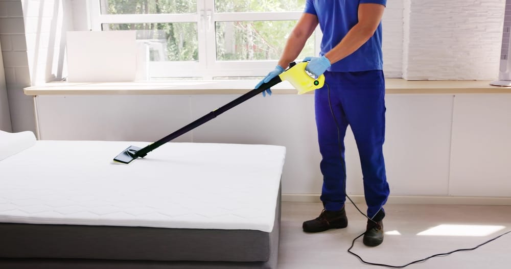 Cleaning Bed Mattress With Steam Machine. Bed Bugs Treatment