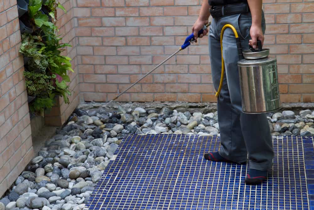 The Exterminator technicians Compressed Chemicals Into The Soil Around The Area.